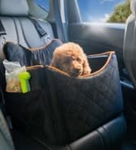 Dog Car Set for Small Dogs, Detachable Washable Dog Booster Car Seats with Storage Pockets, Soft Cushion and Secure Straps, Clip-On Leash Portable Pet Puppy Travel Carrier Carseat Bed, Grey in Saudi Arabia