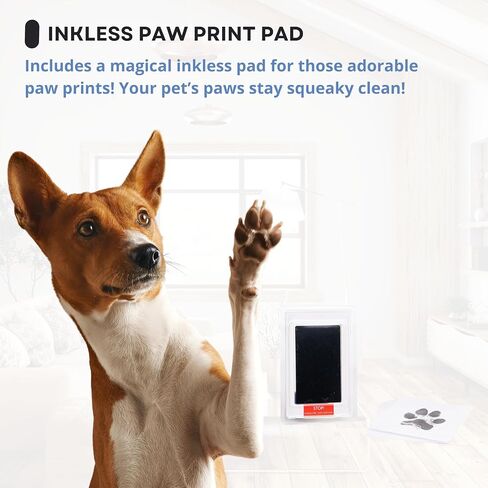 OtterPets Paw Print Kit for Dogs 9x9in, 4 customizable displays (Black) in Saudi Arabia