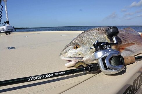 SHIMANO TRANX, LowProfile Baitcasting Fishing Reel in Saudi Arabia