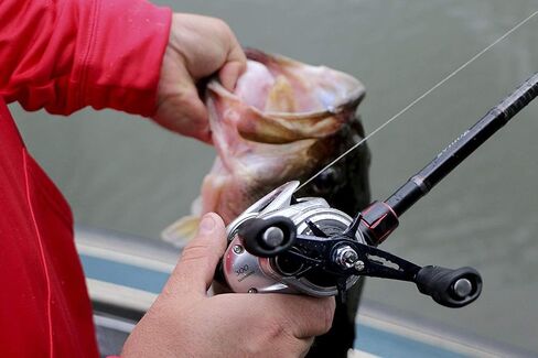 SHIMANO TRANX, LowProfile Baitcasting Fishing Reel in Saudi Arabia