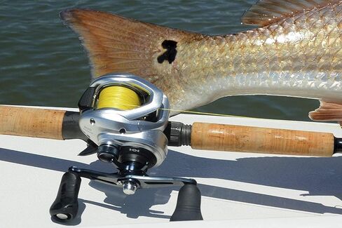 SHIMANO TRANX, LowProfile Baitcasting Fishing Reel in Saudi Arabia