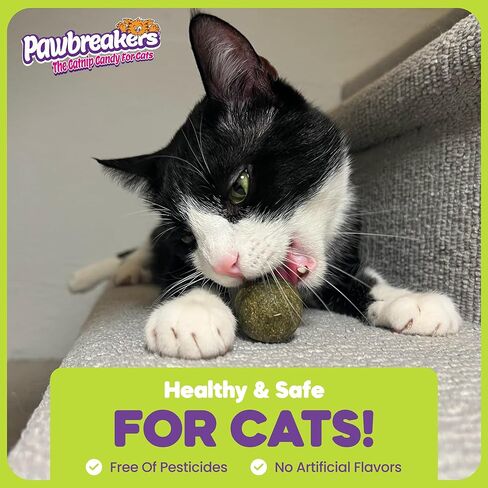 1-MegaBonkas Catnip Ball - All Natural Cat Treats, Medical Grade Catnip Treat and Toy, Catnip for Cats, Safe & Digestible, Hypoallergenic & Vegan - 3 oz - 2.25 inches diameter, Made in USA in Saudi Arabia