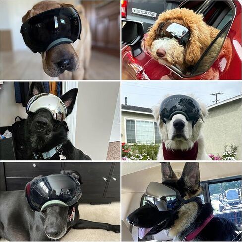 Enjoying Clear Dog Goggles Large Breed, Dog Sunglasses for Medium Large Dogs, Summer UV Dog Eye Protection, Winter Dog Snow Goggles, Transparent in Saudi Arabia