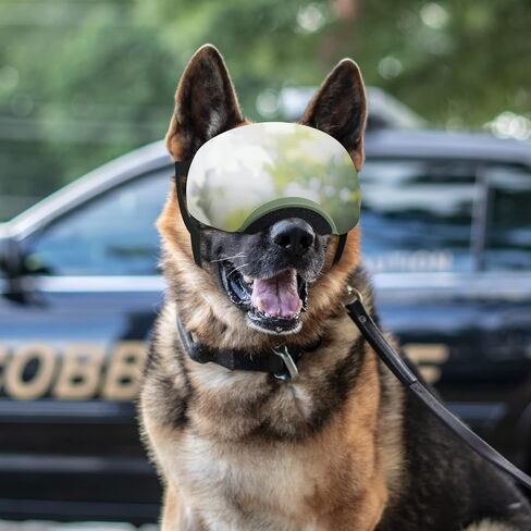 Enjoying Clear Dog Goggles Large Breed, Dog Sunglasses for Medium Large Dogs, Summer UV Dog Eye Protection, Winter Dog Snow Goggles, Transparent in Saudi Arabia