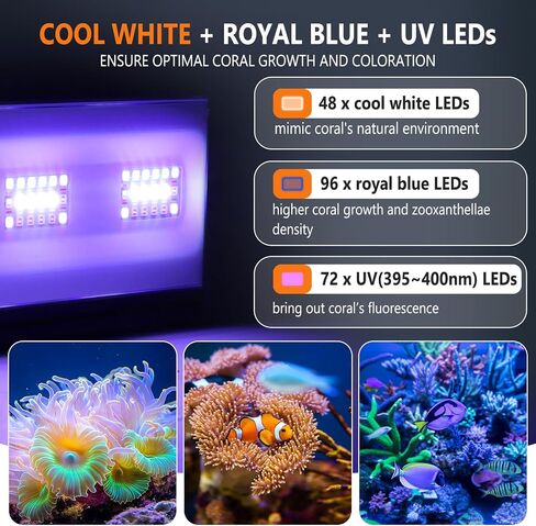 hygger 24/7 Mode Reef Aquarium Light White Blue U-V LEDs with 4 Channels Dimmer Timer Saltwater LED Light for LPS/Soft Coral/Fish Only Tank 12'' 30 Minutes Ramp Up & Down in Saudi Arabia