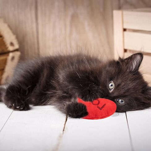 6pcs Halloween Catnip Toy，Indoor Pumpkin Ghost Shaped Cat Toy Plush Interactive Chew Bite Toys for Cat Kitten Indoor Festive Holiday Cat Lover Gift in Saudi Arabia