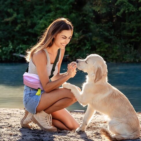 أكياس معالجة الكلب الجرو لتدريب الحيوانات الأليفة حقيبة تدريب على الكلاب ، حزمة الكلب المشي مع carabiner ، موزع حقيبة أنبوب مدمجة وإعادة استخدام حامل حقيبة أنبوب الكلب ، حزام الخصر للحيوانات الأليفة جرو (أسود) in Kuwait