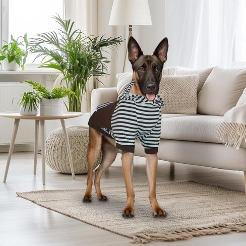 Dog Hoodie, Dog Sweaters with Leash Hole Pullover Splicing Sweatshirt for Large Medium Dogs Soft Pet Clothes for Cold Weather Warm Outfit Dog Coat for Male/Female, Chrismas Green (M) in Saudi Arabia