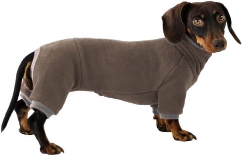 Dachshund Dog Turtleneck Sweater, Winter Warm Clothes for Dachshunds, Sausage Dog Winter Outfit(L) in Saudi Arabia