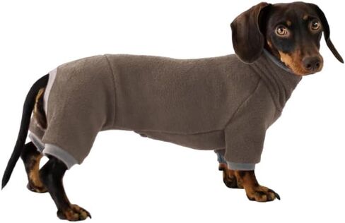 Dachshund Dog Turtleneck Sweater, Winter Warm Clothes for Dachshunds, Sausage Dog Winter Outfit(L) in Saudi Arabia