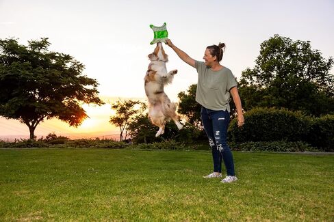 Chuckit! Dog Balls EcoFetch Fetch Toy, Medium (2.5 Inch Diameter) Pack of 3, Tough and Durable for Breeds 20-60 lbs Chuck It Tennis in Kuwait