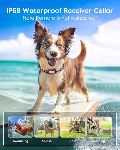 طوق صدمات الكلاب، طوق تدريب الكلاب بطول 3300 قدم مع جهاز تحكم عن بعد، طوق إلكتروني مقاوم للماء IPX8 مع صوت تنبيه، اهتزاز، صدمة، ضوء وامض، نموذج قفل الصدمات، طوق صدمة كهربائي قابل لإعادة الشحن للكلاب، أزرق in Kuwait
