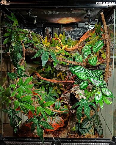 نباتات الزواحف لـ terrarium ، نباتات ديكور الموائل البرمائية مع قاعدة حجرية اصطناعية لـ Gecko Chameleon Snake Tortoise - Monstera Deliciosa مزيفة in Saudi Arabia