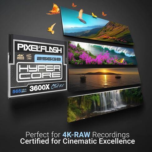 بطاقة ذاكرة سينمائية PixelFlash 1.6 تيرابايت VPG1500 CFexpress 4.0 من النوع B تصل إلى 3900/3600 ميجابايت/ثانية للمصورين ومصوري الفيديو، فيديو 12K 1600 جيجابايت 1600 جيجابايت VPG400 سلسلة سينمائية (LPCXT1600-CSVPG4) in Kuwait
