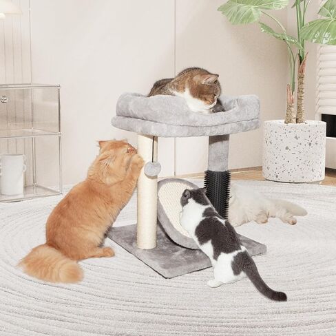 Cute Small Cat Tree,Tall Cat Tree with Condo for Cats,Cat Tree Tower with Sisal-Covered Scratching Post,Cat Play House and Cozy Perch for Cats Playing and Relaxing in Kuwait