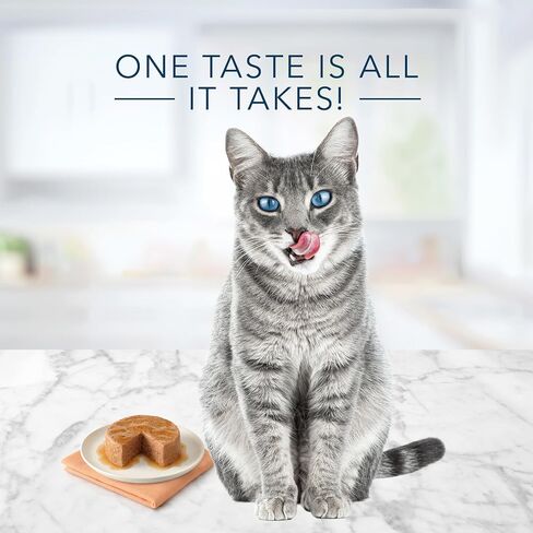 Blue Buffalo Tastefuls Natural Wet Cat Food Cans, Paté Style, Chicken Entrée 3-oz Cans (Pack of 4) in Kuwait