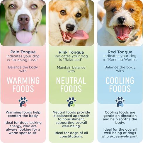 Side by Side Rabbit Crunchie Munchies 2-Pack in Kuwait