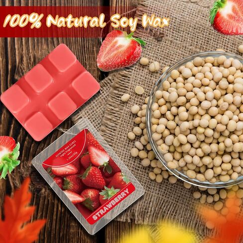 SCENTORINI Wax Melts, Mint Fragrance Wax Cubes, 4-Pack, Long-Lasting Scented Wax Melts, for Candle Making and Home Fragrance in Saudi Arabia