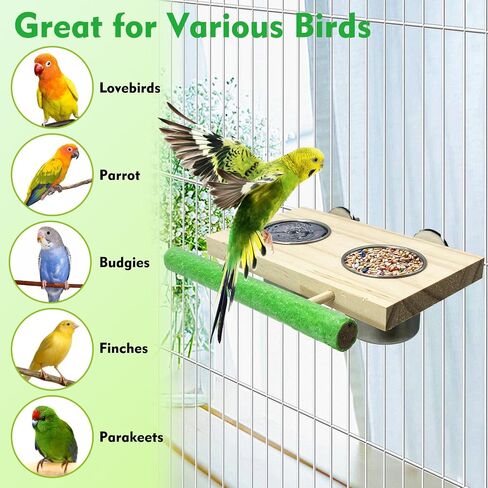 Tfwadmx Bird Feeding Dish Cups with Wooden Platform Hanging Stainless Steel Parrot Cage Feeder Bowl Wood Perch Stand for Parakeet Cockatiels Lovebirds Budgie (Small) in Saudi Arabia