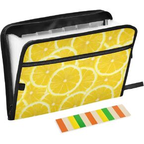 Colorful Heart 13 Pocket Expanding File Folder,Zipper Accordion File Folder,Expandable Folder with Customized Labels,Document Organizer for School Kids,Office Paper Organizer