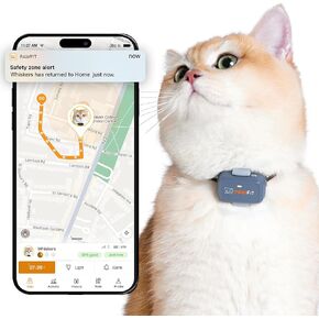 Lite for Cats 4g GPS Tracker | Real Time Tracking | Activity Monitoring |Location History | Unlimited Range | Safety Collar Included | Lilac Grey