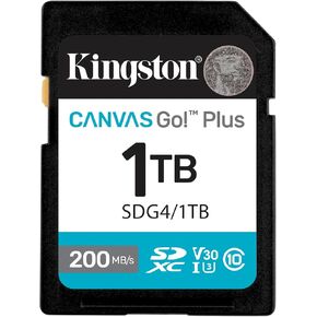 Kingston Canvas Go Plus SD Card, 256GB