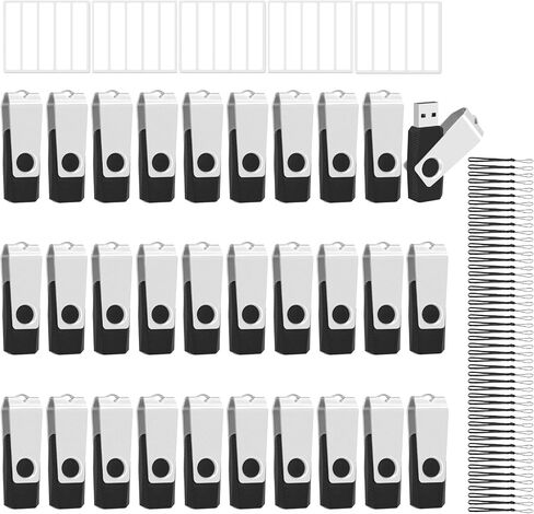 Eastbull 100 Pack of Flash Drives 4GB USB 2.0 Flash Drives Pack 4 GB محركات محركات الإبهام السائبة لتخزين البيانات مع 100 سلاسل وعلامات (4 جيجابايت ، أسود) in Kuwait