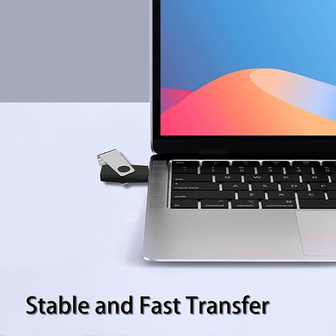 Eastbull 100 Pack of Flash Drives 4GB USB 2.0 Flash Drives Pack 4 GB محركات محركات الإبهام السائبة لتخزين البيانات مع 100 سلاسل وعلامات (4 جيجابايت ، أسود) in Kuwait
