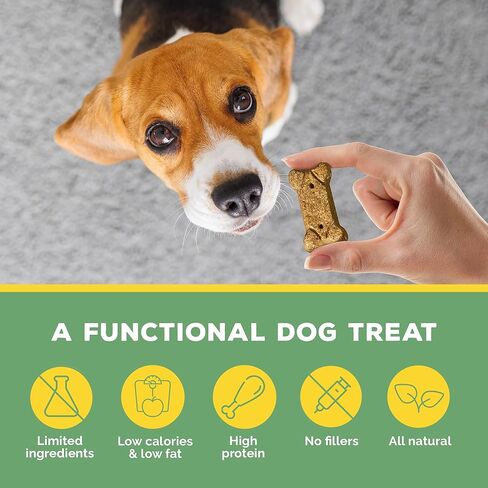 Brutus Bone Broth Biscuits (لحوم البقر) - علاجات كلب صحية - بسكويت الكلب الطبيعي مع مرق عظم الكلاب ولحم البقر الحقيقي للمفاصل الصحية - 18 جرامًا من البروتين - 8 أوقية (حزمة 2) in Kuwait