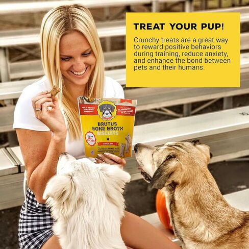 Brutus Bone Broth Biscuits (لحوم البقر) - علاجات كلب صحية - بسكويت الكلب الطبيعي مع مرق عظم الكلاب ولحم البقر الحقيقي للمفاصل الصحية - 18 جرامًا من البروتين - 8 أوقية (حزمة 2) in Kuwait