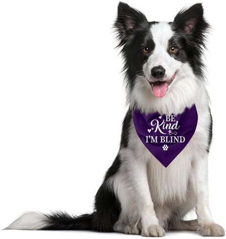 Be Kind I'm Blind Dog Bandana، Dark Pinnk Dog Bandana، إكسسوارات الكلاب العمياء، وشاح مثلث للكلاب الأليفة، ملحقات وشاح الحيوانات الأليفة لمحبي الكلاب، باندانا للكلاب الصغيرة والمتوسطة (D12) in Kuwait