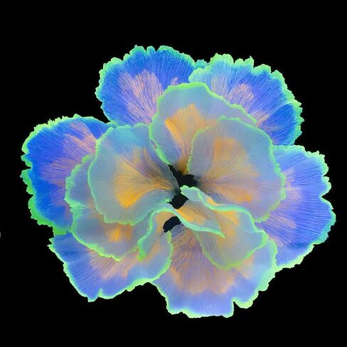 زخارف خزان السمك متوهجة زهرة الحوض الزخارف النباتات المائية النباتات بيتا دبابة السمك ديكور زخرفة السيليكون الاصطناعي مع تأثير متوهج لزخرفة المناظر الطبيعية خزان الأسماك (الوردي) in Kuwait