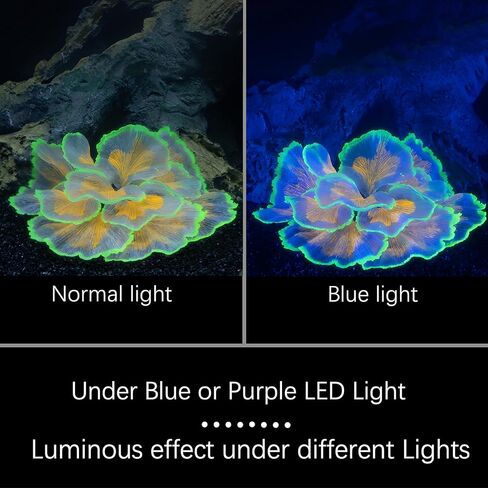 زخارف خزان السمك متوهجة زهرة الحوض الزخارف النباتات المائية النباتات بيتا دبابة السمك ديكور زخرفة السيليكون الاصطناعي مع تأثير متوهج لزخرفة المناظر الطبيعية خزان الأسماك (الوردي) in Kuwait