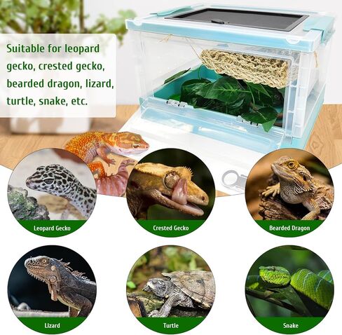 مجموعة أدوات زواحف قابلة للطي Hamailyi ، وأكياس المبتدئين في Gecko ، أقفاص الموائل الشفافة الشفافة للسحلية ، الإغوانا ، الأفعى ، التنين الملتحي ، السلحفاة ، الحرباء 15.6 "× 11.6" × 9.4 "أسود in Kuwait