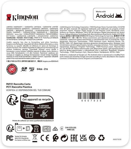 Kingston Canvas Go Plus SD Card, 256GB in Kuwait