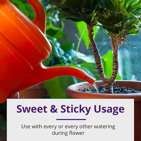 Humboldts Secret Sweet & Sticky – Carbohydrate and Saccharide Energy Source – Enhance Aroma and Flavor of Plants – Potting Soil for Indoor Plants – Energy for Plants – 32 Ounces in Saudi Arabia