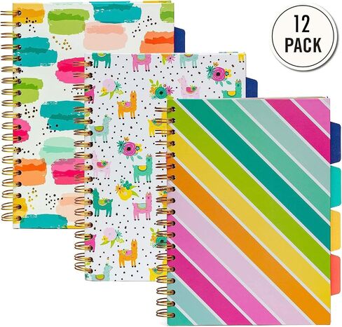 Pukka Pad ، Carpe Diem 5-Sigject Doubject Double Bound Boid 3 عبوات مع مقسمات قابلة لإعادة وضعها-200 صفحة من ورق 80gsm مع حواف مثقبة-Love Floral ، B5 10 × 7in in Kuwait