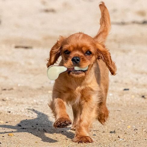 Tikaton Dog Phem Toys لمضغات العدوانية ، نكهة زبدة الفول السوداني دائمة الكلب التسنين مضغ ألعاب العظام لجرى كبيرة/متوسطة/صغيرة in Kuwait