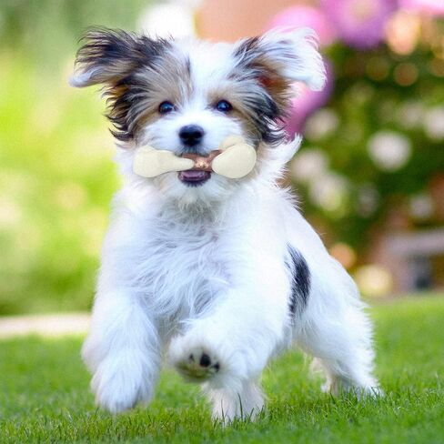 Tikaton Dog Phem Toys لمضغات العدوانية ، نكهة زبدة الفول السوداني دائمة الكلب التسنين مضغ ألعاب العظام لجرى كبيرة/متوسطة/صغيرة in Kuwait