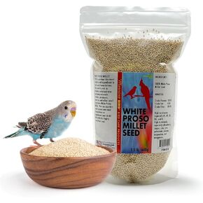 Bird Morning White Proso Millet Bird Bead Bag 4.5 LBS (3 حزم ، 1.5 رطل لكل منهما) - غذاء الطيور الأصحاء والمغذية مثالية لطيور الأكل البذور - الببغاوات ، الزعانف ، الكوكاتيلز