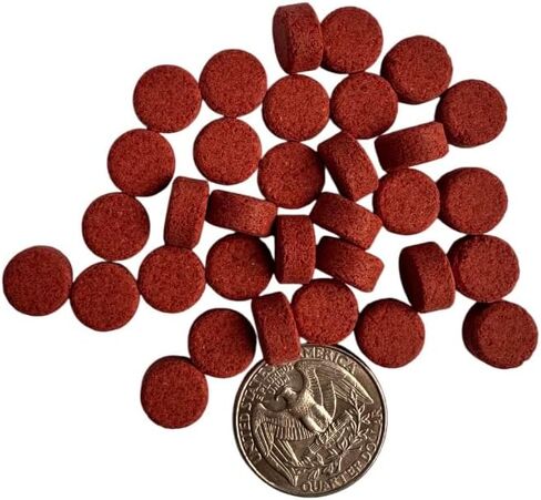 Plecoceramics Algae Wafers Universal Fish Food for Most Aquarium Fish - Turtle Food - Goldfish Food - Catfish Food - Algae Spirulina Wafers for Bottom Feeders - Protein Wafers (50 gr, with Spirulina) in Saudi Arabia