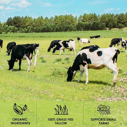 Beef Tallow Balm for Skin Care - All Natural Moisturizing Body Oil with Honey and Beeswax - Tallow from Grass-Fed Cows – Beef Tallow Moisturizer,-Made in USA (2.0 Oz) in Saudi Arabia