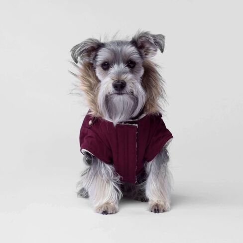 Canada Pooch Winter Dog Coat Water-Resistant Insulated Dog Jacket Faux-Fur Trim Dog Parka Coat for Dogs - Army Green, Size 10 in Saudi Arabia