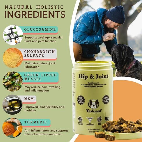 Natural Dog Company Vet Strength Hip & Joint Chews for Senior Dogs (90ct) Joint & Flexibility Support, Arthritis Relief for Senior Dogs, 1.3X Glucosamine, 2X Green Lipped Mussel & MSM for Dog Mobility in Saudi Arabia