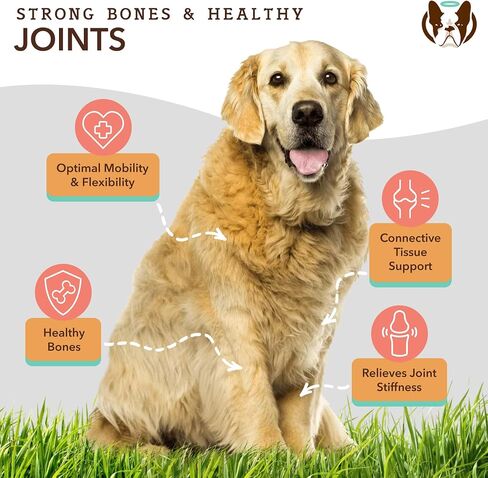 Natural Dog Company Vet Strength Hip & Joint Chews for Senior Dogs (90ct) Joint & Flexibility Support, Arthritis Relief for Senior Dogs, 1.3X Glucosamine, 2X Green Lipped Mussel & MSM for Dog Mobility in Saudi Arabia