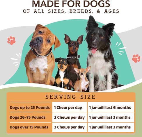 Natural Dog Company Vet Strength Hip & Joint Chews for Senior Dogs (90ct) Joint & Flexibility Support, Arthritis Relief for Senior Dogs, 1.3X Glucosamine, 2X Green Lipped Mussel & MSM for Dog Mobility in Saudi Arabia