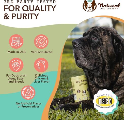 Natural Dog Company Vet Strength Hip & Joint Chews for Senior Dogs (90ct) Joint & Flexibility Support, Arthritis Relief for Senior Dogs, 1.3X Glucosamine, 2X Green Lipped Mussel & MSM for Dog Mobility in Saudi Arabia