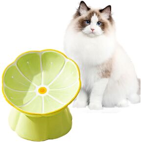 VEEKI Elevated Ceramic Cat Bowls, Anti Vomiting Protect Pet's Spine Tilted Ergonomic Bowls, Cute Cat Feeding Bowls for Indoor Cats (Green Flat)