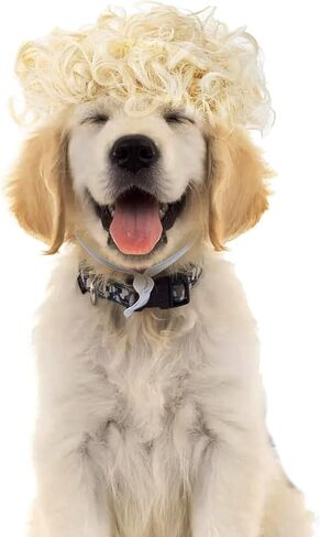 Funny Dog Cat Cosplay Wig, Dog Wigs for Small Medium Dogs, Pet Costume Wig for Halloween Christmas Parties Festivals （Black Brown Straight Hair） in Saudi Arabia