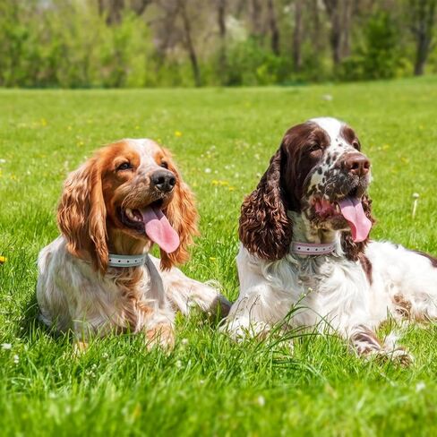 طوق بديل لطوق الصدمات، حزام بديل لطوق الصدمات مكون من قطعتين، متوافق مع PetSafe Bousnic Sportdog Garmin Dogtra Delupet استبدال طوق السياج غير المرئي (الأرجواني والأزرق) in Kuwait